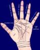 Palmistry